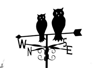 Owls on arrow weathervane